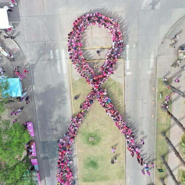 lazo humano 2019